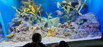 サンシャイン水族館に投稿された画像（2023/8/21）