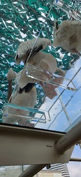 サンシャイン水族館に投稿された画像（2023/8/21）