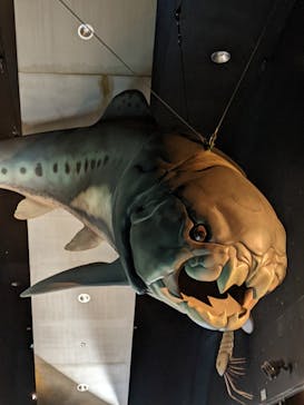 環境水族館アクアマリンふくしまに投稿された画像（2023/8/21）