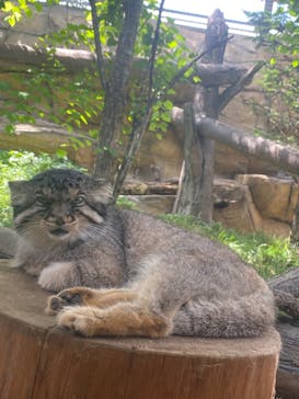 那須どうぶつ王国に投稿された画像（2023/8/21）