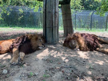 姫路セントラルパークに投稿された画像（2023/8/22）