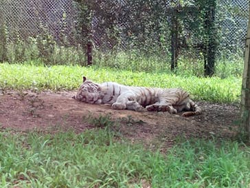 姫路セントラルパークに投稿された画像（2023/8/22）