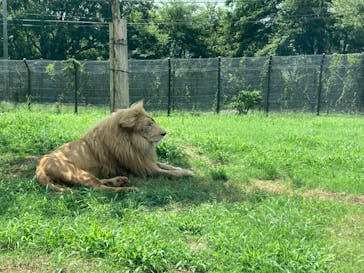 姫路セントラルパークに投稿された画像（2023/8/22）