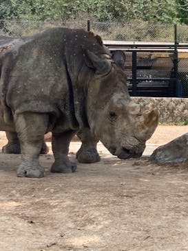 姫路セントラルパークに投稿された画像（2023/8/22）