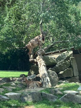 姫路セントラルパークに投稿された画像（2023/8/22）