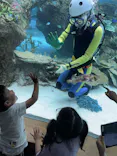 名古屋港水族館に投稿された画像（2023/8/22）