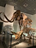 国立科学博物館に投稿された画像（2023/8/22）