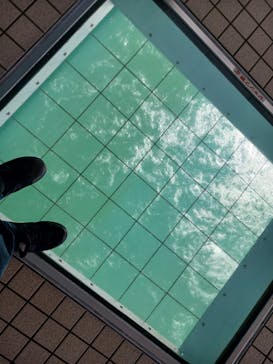 徳島県立 渦の道に投稿された画像（2023/8/22）