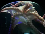 サンシャイン水族館に投稿された画像（2023/8/22）
