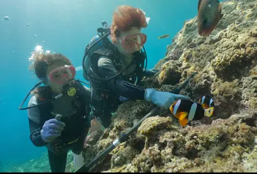 武藤潜水に投稿された画像（2023/8/22）