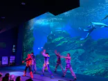 仙台うみの杜水族館に投稿された画像（2023/8/22）
