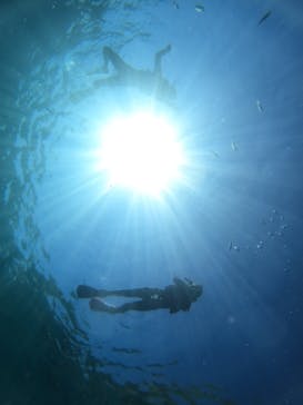 沖縄マリンサービス碧に投稿された画像（2023/8/22）