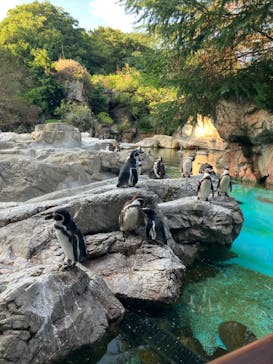よこはま動物園ズーラシアに投稿された画像（2023/8/22）