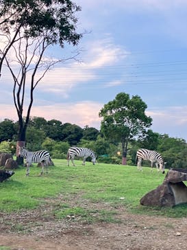 よこはま動物園ズーラシアに投稿された画像（2023/8/22）