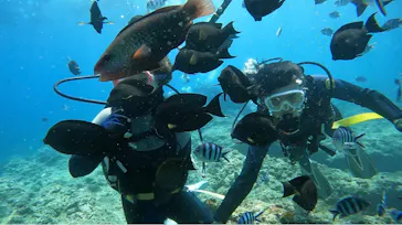 武藤潜水に投稿された画像（2023/8/22）