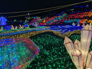 伊豆ぐらんぱる公園に投稿された画像（2023/8/22）