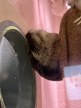 マクセル アクアパーク品川に投稿された画像（2023/8/22）