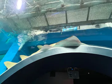 マクセル アクアパーク品川に投稿された画像（2023/8/22）