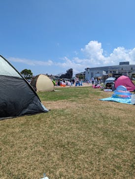 芝政ワールドに投稿された画像（2023/8/22）