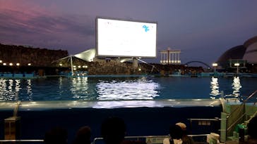 名古屋港水族館に投稿された画像（2023/8/22）