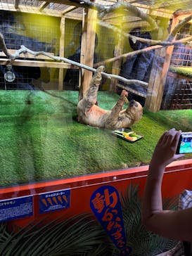 ぶっとんでるいきもの展に投稿された画像（2023/8/22）