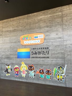 上越市立水族博物館 うみがたりに投稿された画像（2023/8/22）