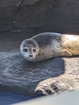 上越市立水族博物館 うみがたりに投稿された画像（2023/8/22）