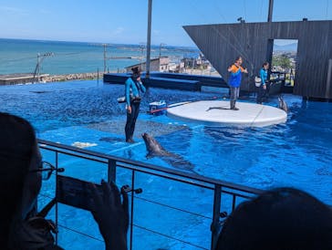 上越市立水族博物館 うみがたりに投稿された画像（2023/8/22）