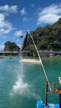 下田海中水族館に投稿された画像（2023/8/22）