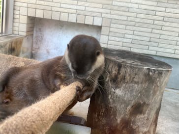 下田海中水族館に投稿された画像（2023/8/22）