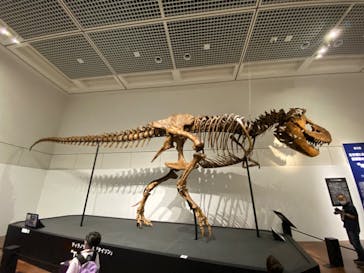 大阪市立自然史博物館に投稿された画像（2023/8/22）