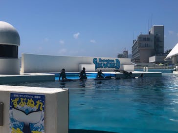 鴨川シーワールドに投稿された画像（2023/8/22）