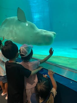 鴨川シーワールドに投稿された画像（2023/8/22）