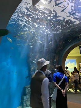 名古屋港水族館に投稿された画像（2023/8/22）