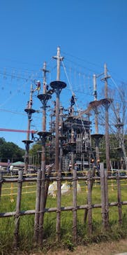 ニジゲンノモリに投稿された画像（2023/8/22）