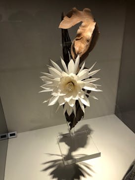 あべのハルカス美術館に投稿された画像（2023/8/22）