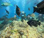 武藤潜水に投稿された画像（2023/8/22）