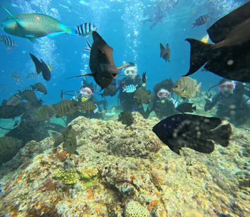 武藤潜水に投稿された画像（2023/8/22）