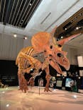 DinoScience 恐竜科学博 2023@TOKYO MIDTOWNに投稿された画像（2023/8/22）