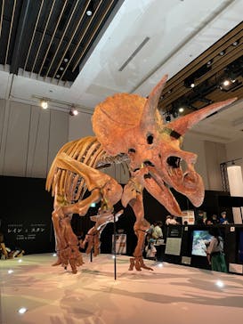 DinoScience 恐竜科学博 2023@TOKYO MIDTOWNに投稿された画像（2023/8/22）