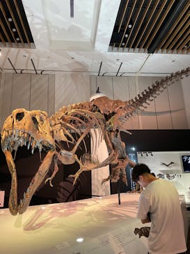DinoScience 恐竜科学博 2023@TOKYO MIDTOWNに投稿された画像（2023/8/22）