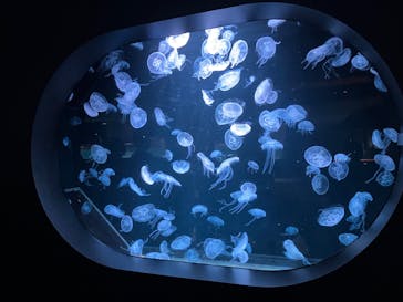 AOAO SAPPOROに投稿された画像（2023/8/22）