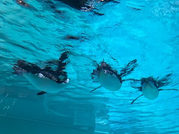 AOAO SAPPOROに投稿された画像（2023/8/22）