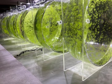 AOAO SAPPOROに投稿された画像（2023/8/22）