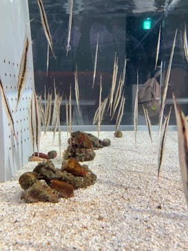 AOAO SAPPOROに投稿された画像（2023/8/22）