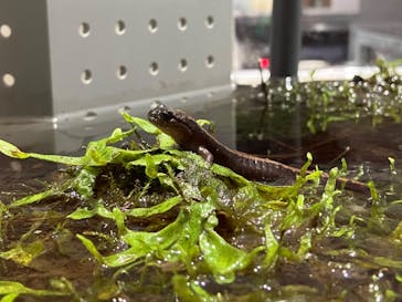 AOAO SAPPOROに投稿された画像（2023/8/22）