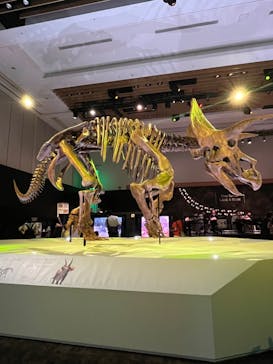 DinoScience 恐竜科学博 2023@TOKYO MIDTOWNに投稿された画像（2023/8/22）