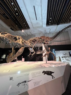 DinoScience 恐竜科学博 2023@TOKYO MIDTOWNに投稿された画像（2023/8/22）