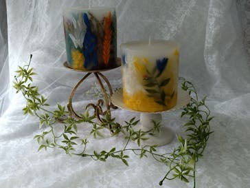 ずこうしつ〜sugamo〜に投稿された画像（2023/8/22）