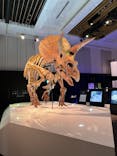 DinoScience 恐竜科学博 2023@TOKYO MIDTOWNに投稿された画像（2023/8/22）
